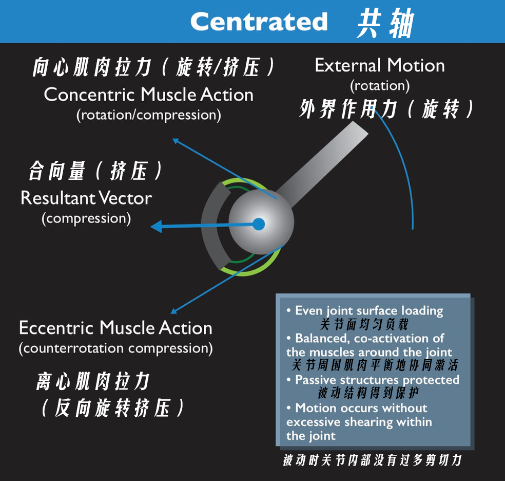 师太科普杂谈瑜伽大师们违背了运动学原理违背了关节共轴