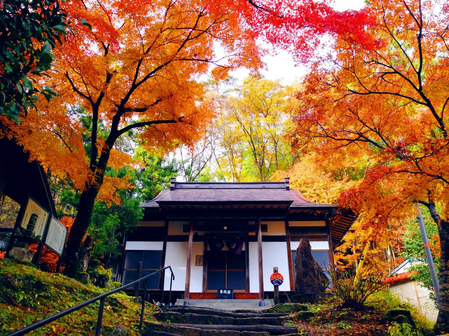 Japanese Autumn Wallpapers - Wallpaper Cave