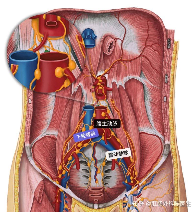 如何看待任达华7月20日在中山出席活动时被捅伤一事是什么原因
