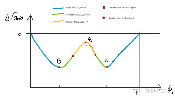 UCST, LCST and polymer solution mixing(聚合物溶液的混合,自由能-组分曲线与温度-组分图) - 知乎