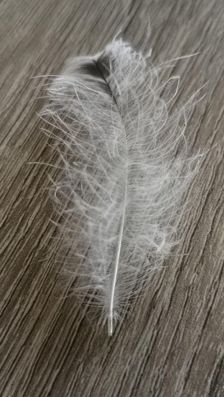 6. 红黑线电压调整