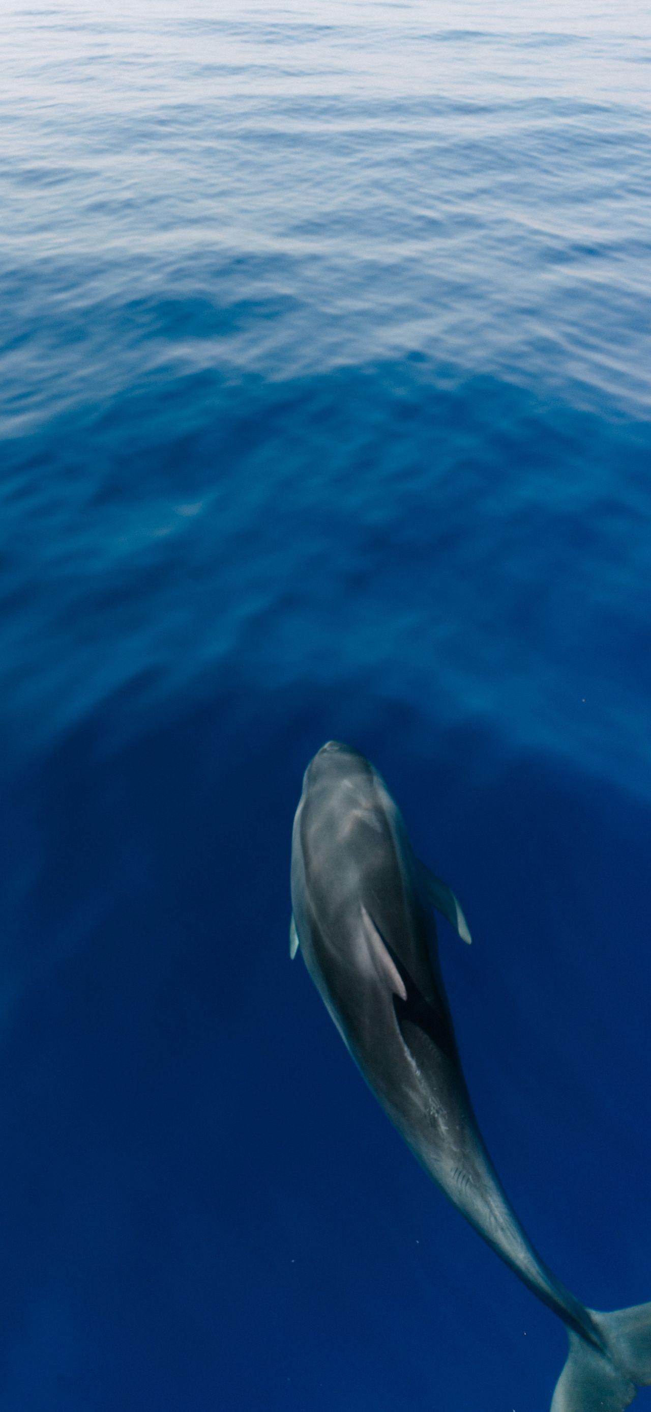 有没有推荐的蓝色系图片