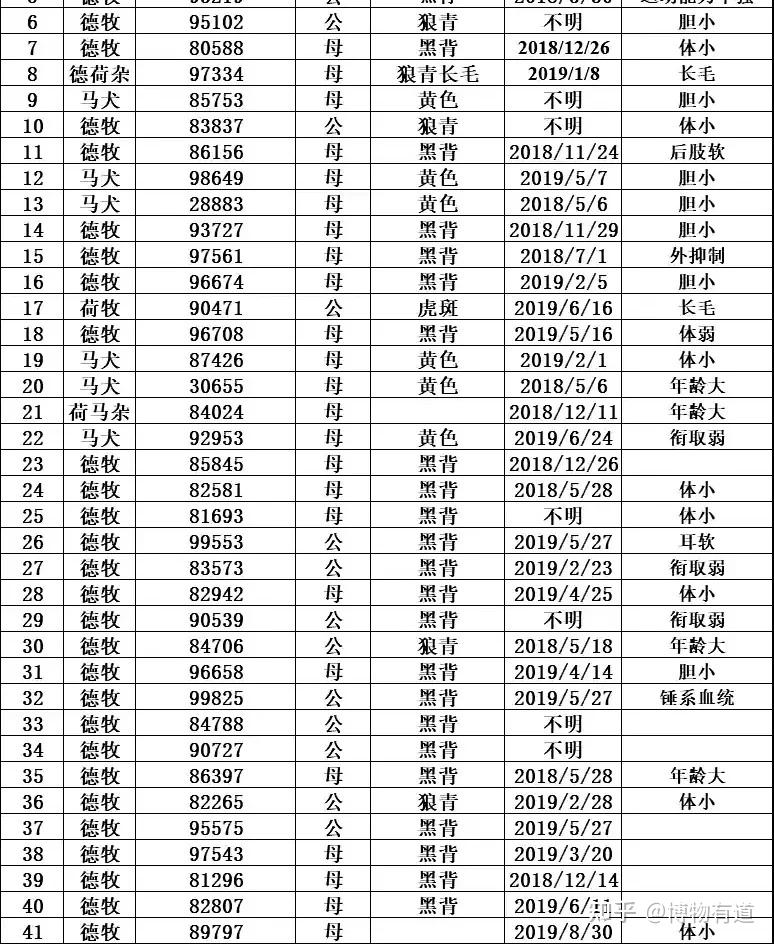 德国黑背多少钱图片