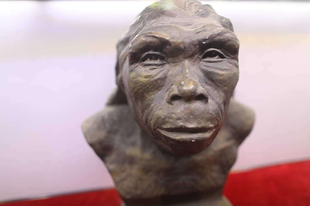 西安蓝田猿人旧址,100万年前的人类为什么选择秦岭生活? - 知乎