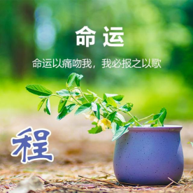 原创诗歌《响一声枪》,愿你我都有更好的命运 - 知乎