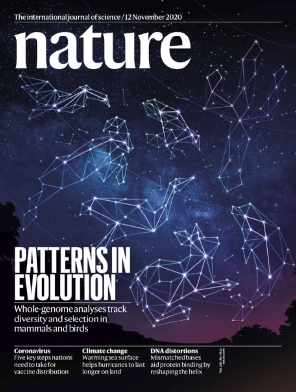 nature 雜誌封面(圖片來自nature官網)