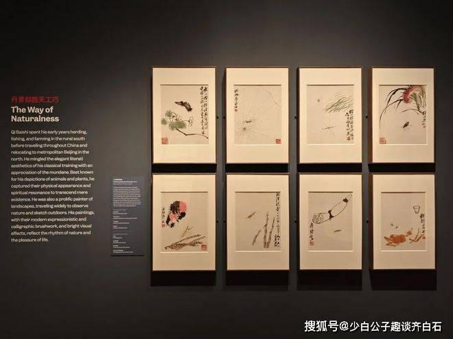 “不肯作神仙——北京画院藏齐白石精品展”在美国波士顿美术博物馆启幕 ,上海齐白石艺术研究会会长齐白石书画大数据鉴定专家齐白石书画院院长齐良芷 ...