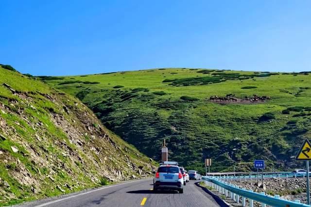 独库公路,为什么能堵成这样?这两天的新疆,人也太多了吧 - 知乎