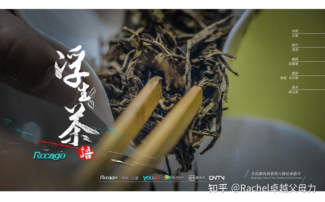 《指尖上的传承:茶篇》《武夷山茶文化》《徽茶anhui tea》《黑茶大业