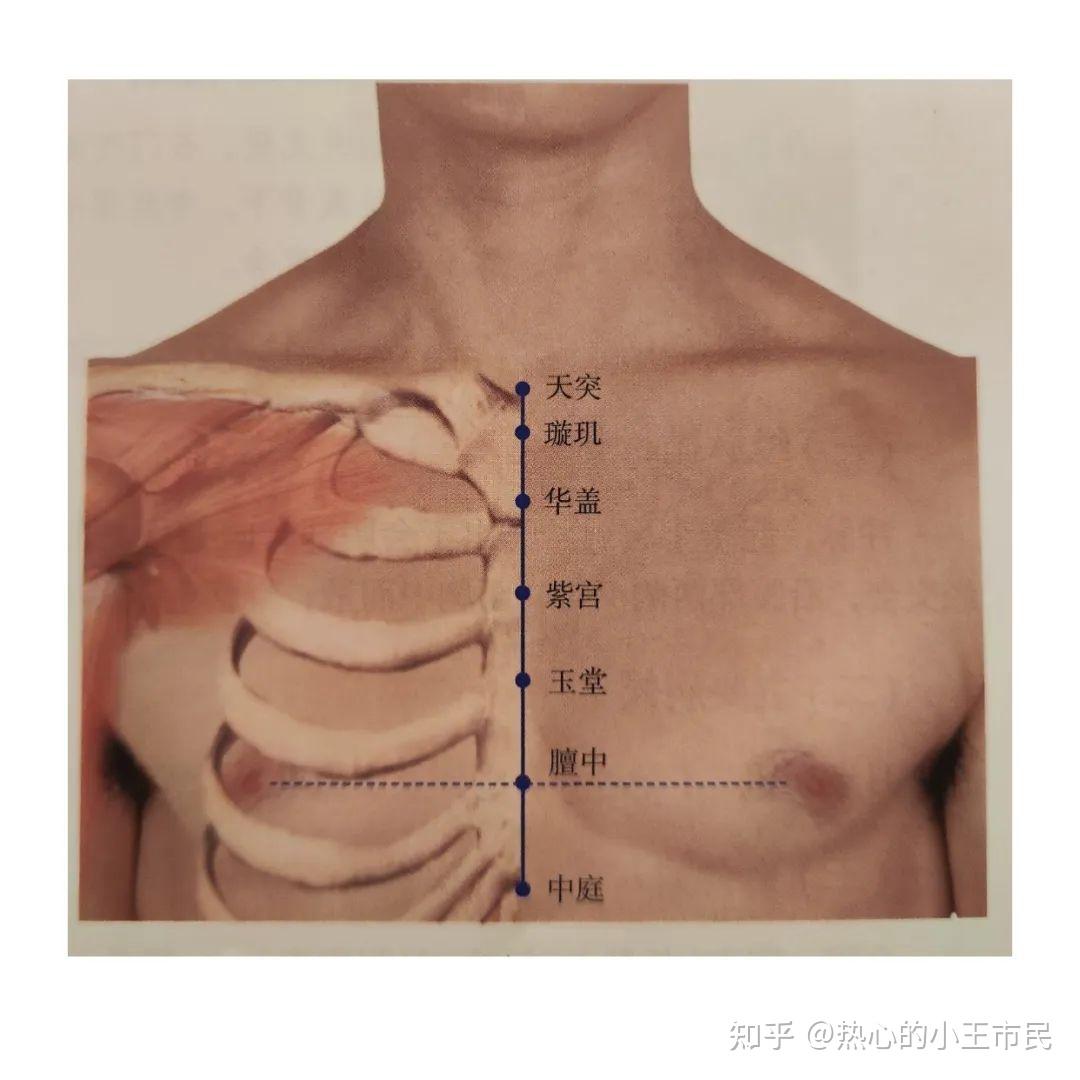倪海厦《针灸》笔记2-1：任督脉与经络腧穴中 - 知乎