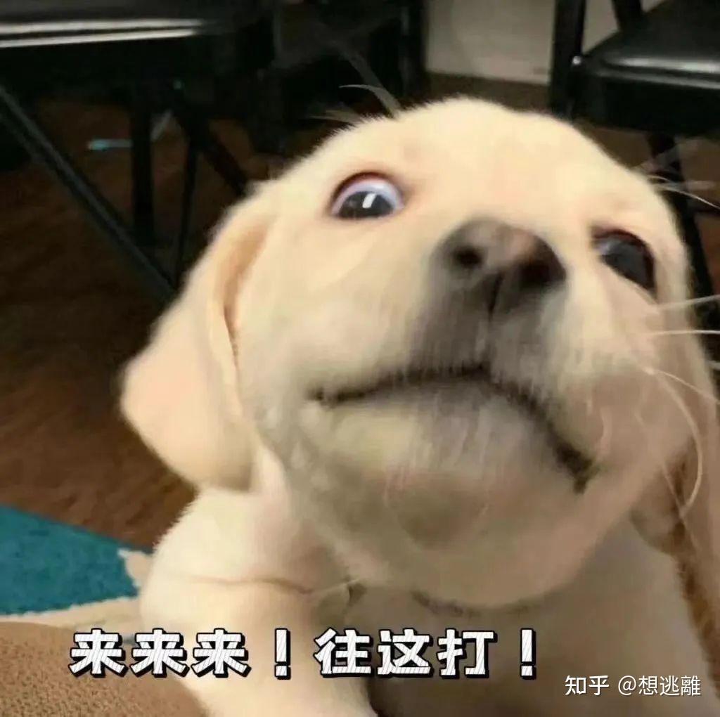 有趣的表情包又增加了,快快收藏起来!!! - 知乎