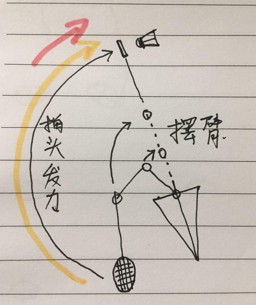 挥拍秘籍之顶肘 定向出肘 知乎 挥拍秘籍之顶肘 定向出肘 知乎