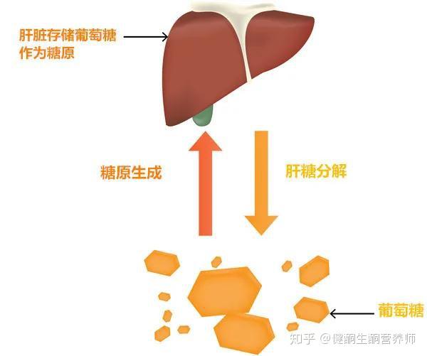 What Is Gsd Disease