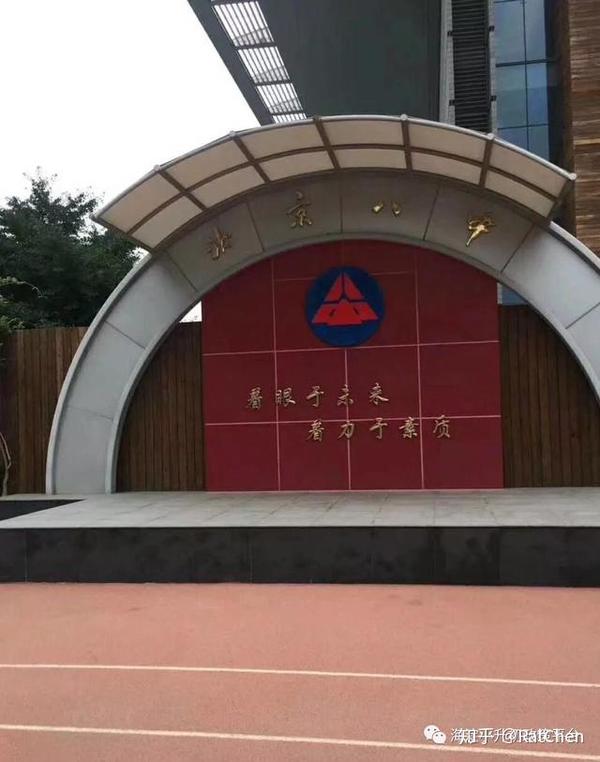 关注八素八少解析