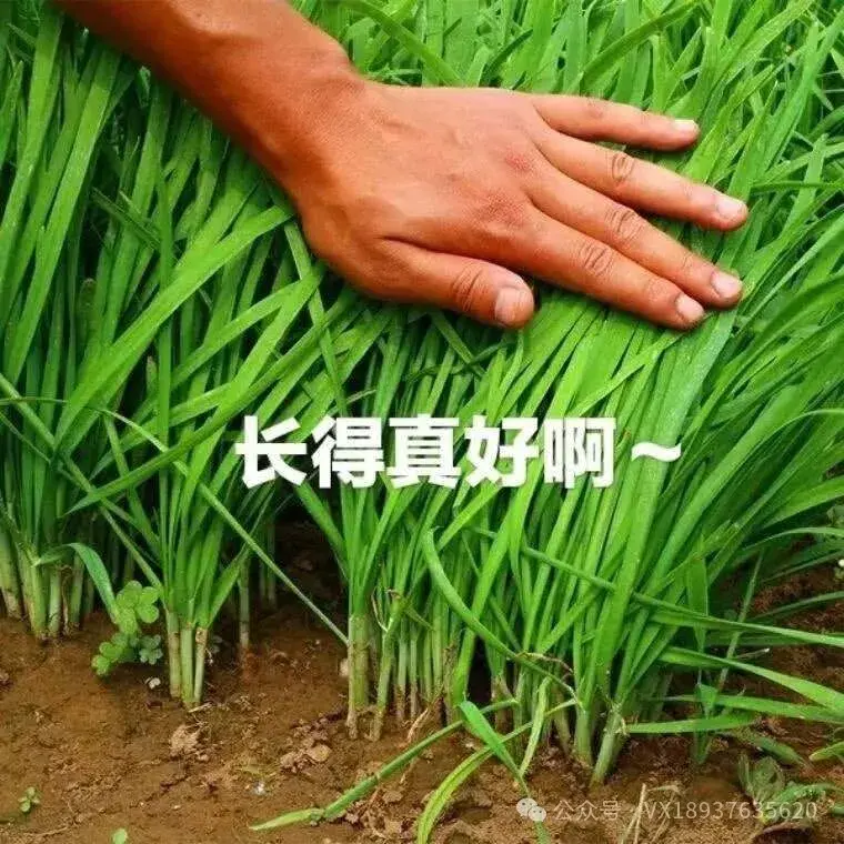 碰一碰AI系统直播间只要298?买这个纯纯的大冤种! - 知乎