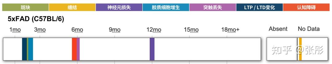 5xFAD（五转）五转家族性阿尔茨海默病模型小鼠 - 知乎