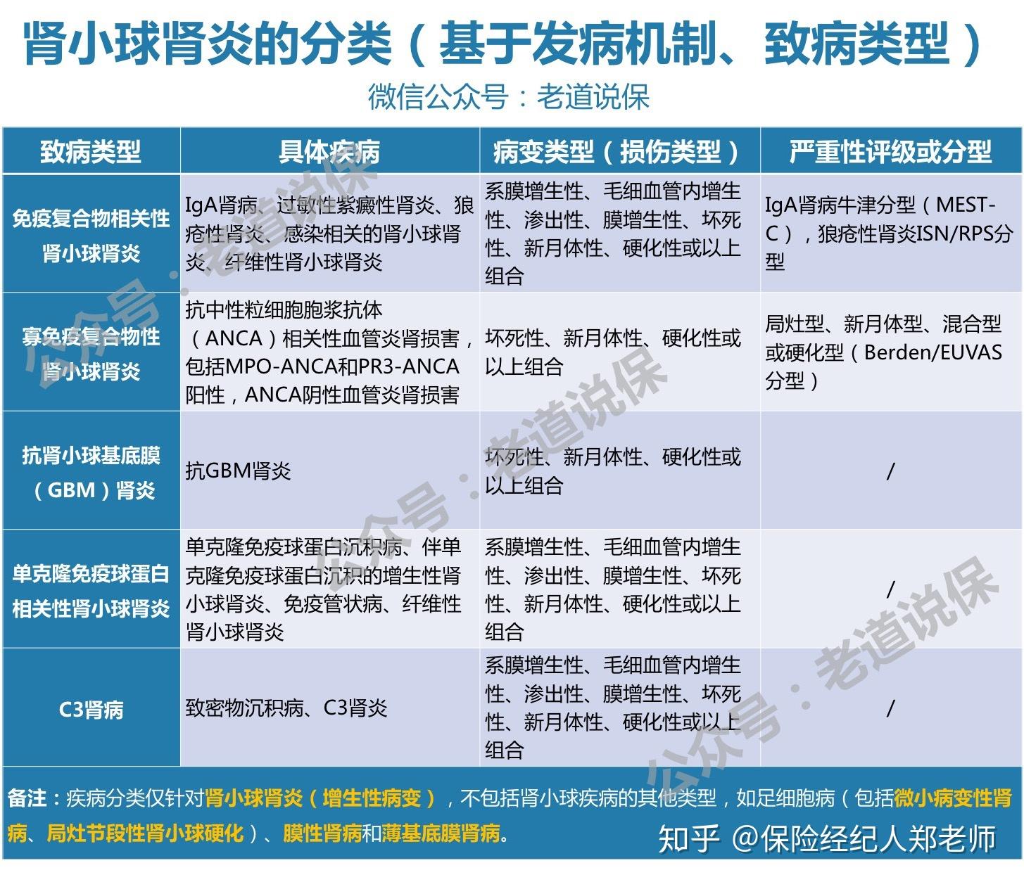 2 肾小球肾炎的病理分型