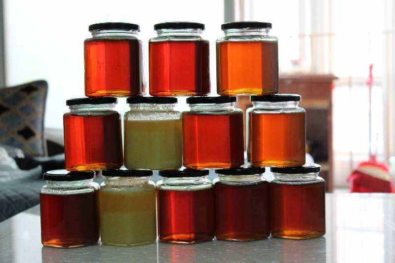 真正的野生纯蜂蜜缅甸蜂蜜多少钱一斤?