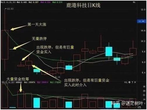 量和额能看出什么(量和额高低意味着什么?)