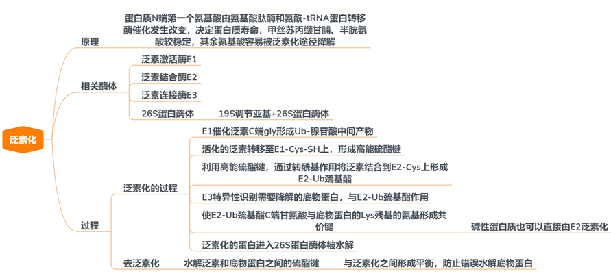 知識樹:分子生物學基礎知識要點——從基因組到生命體 - 知乎