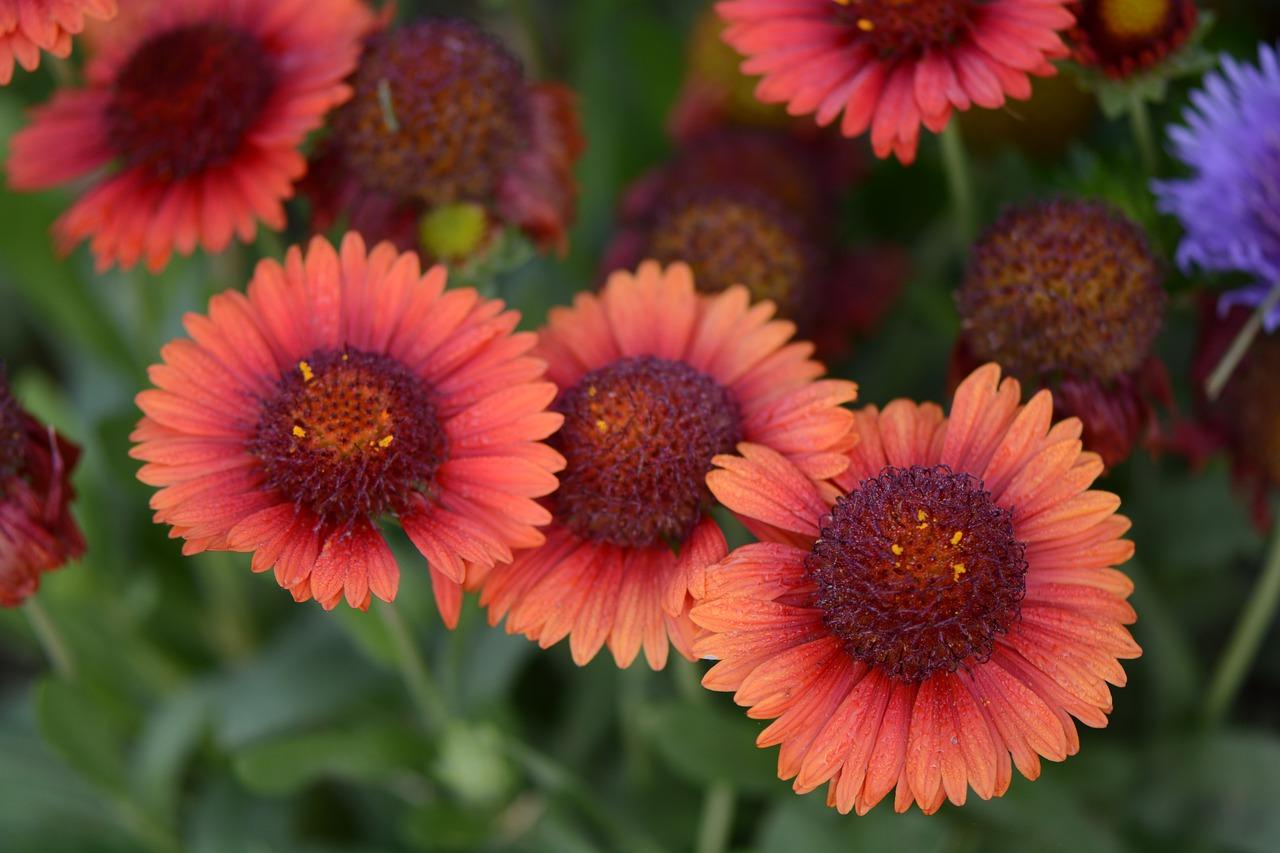 新疆棉被选购技巧