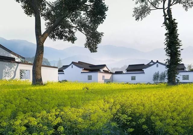 GN栖城设计 | 最美的中式设计—安吉绿城桃花源方竹园 | 管轶群 - 知乎