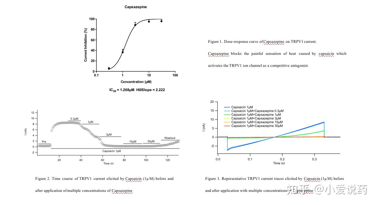 trpv1-receptor-cancer-pain-flipr-service