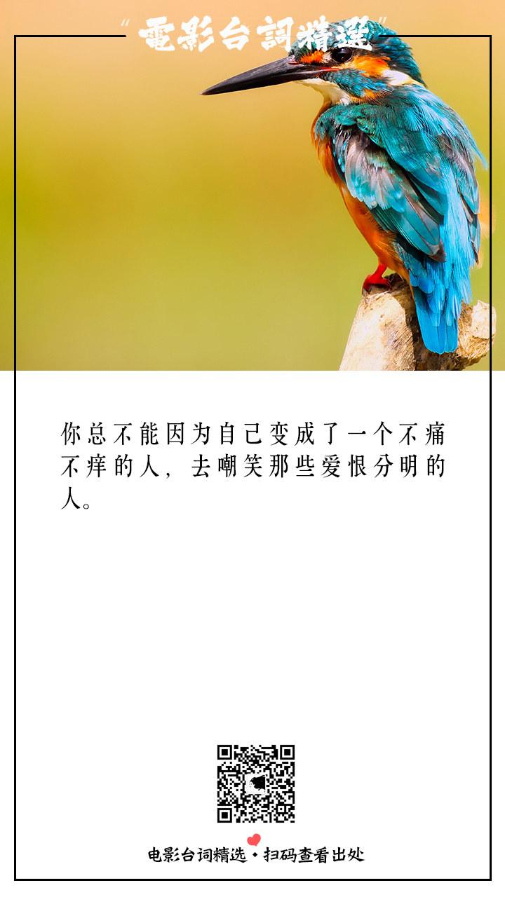 我们不屑与他人为伍却又害怕自己与众不同经典电影台词截图对白公众号