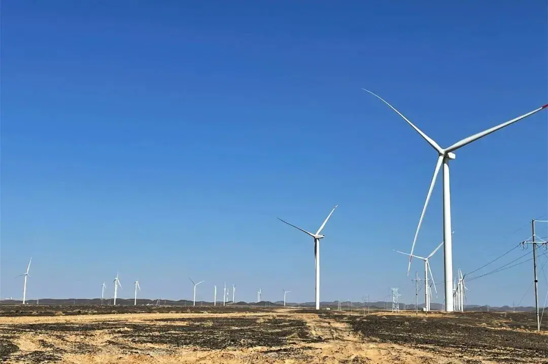 世界风库绿电风收