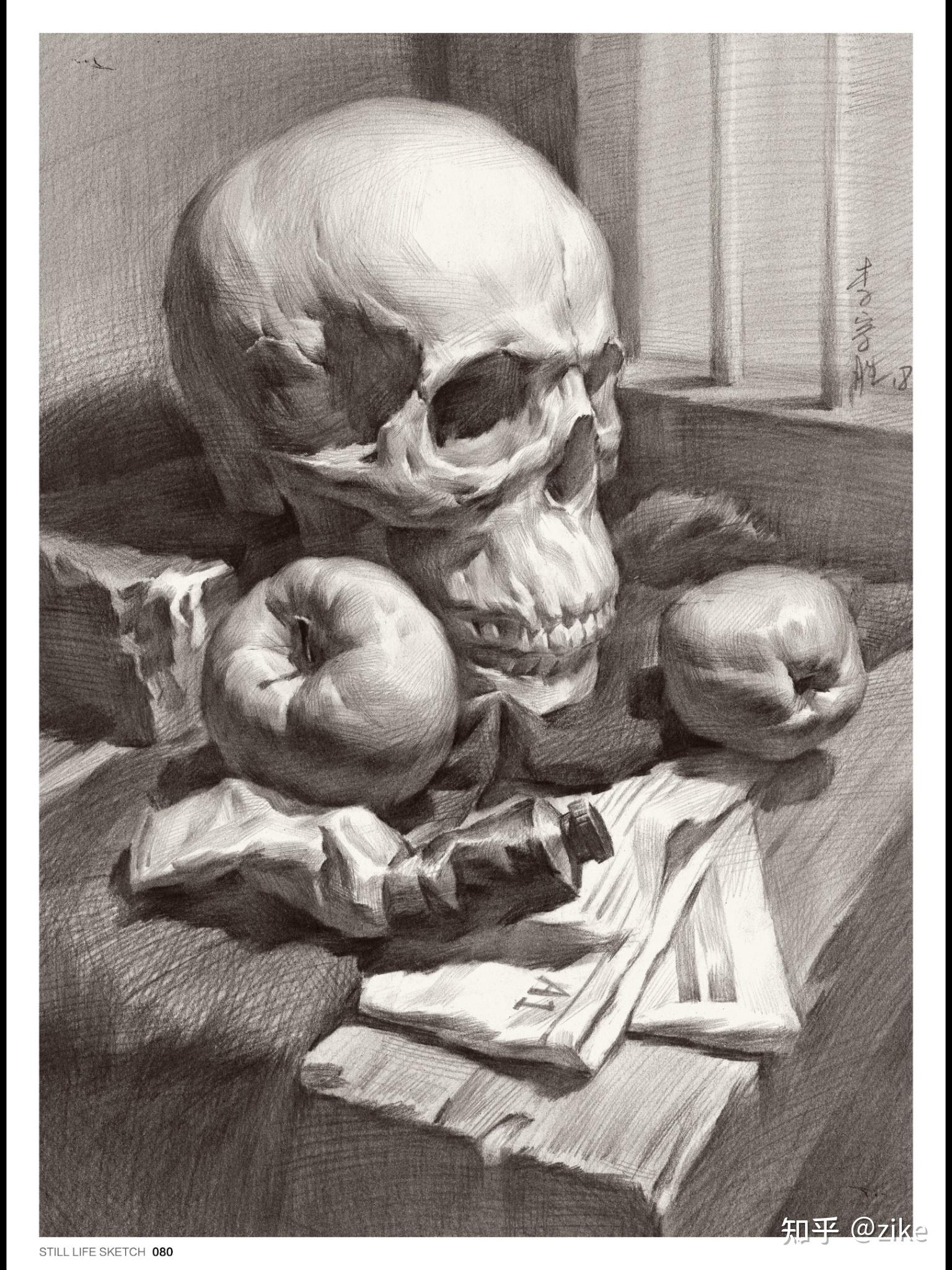 有头骨清晰图可以画吗? - 知乎