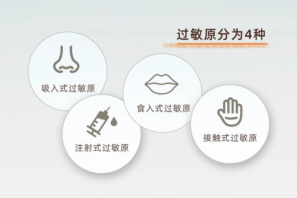 吸入式过敏原,食入式过敏原,注射式过敏原和接触式过敏原