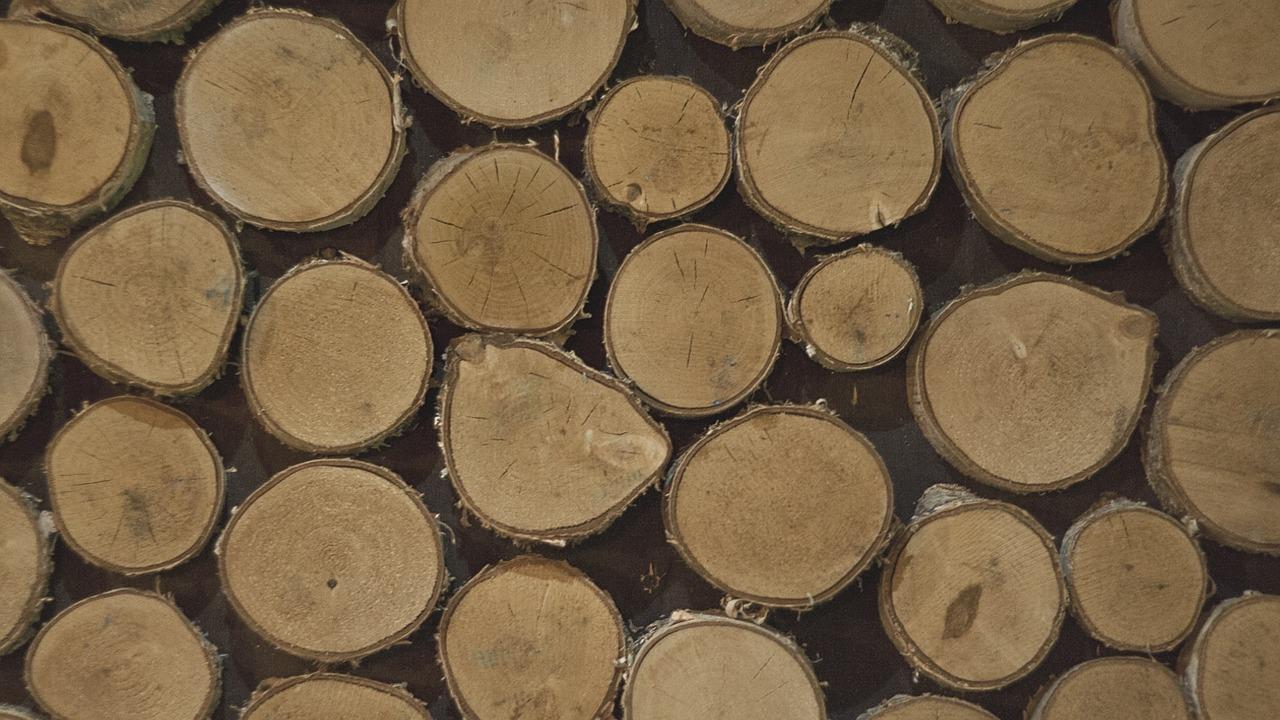 2. 易活草本植物