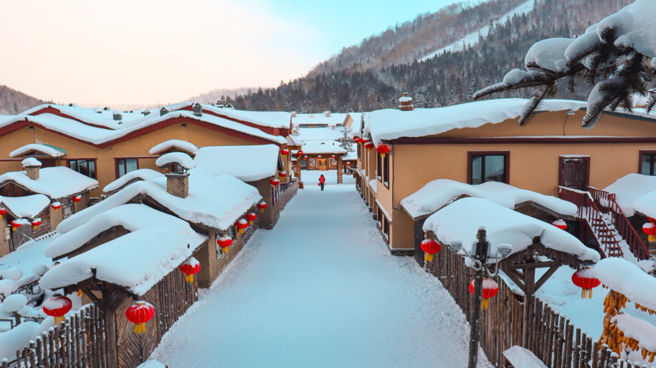 哈尔滨去雪乡有必要跟团吗?雪乡跟团去注意事项-内附攻略费用 - 知乎