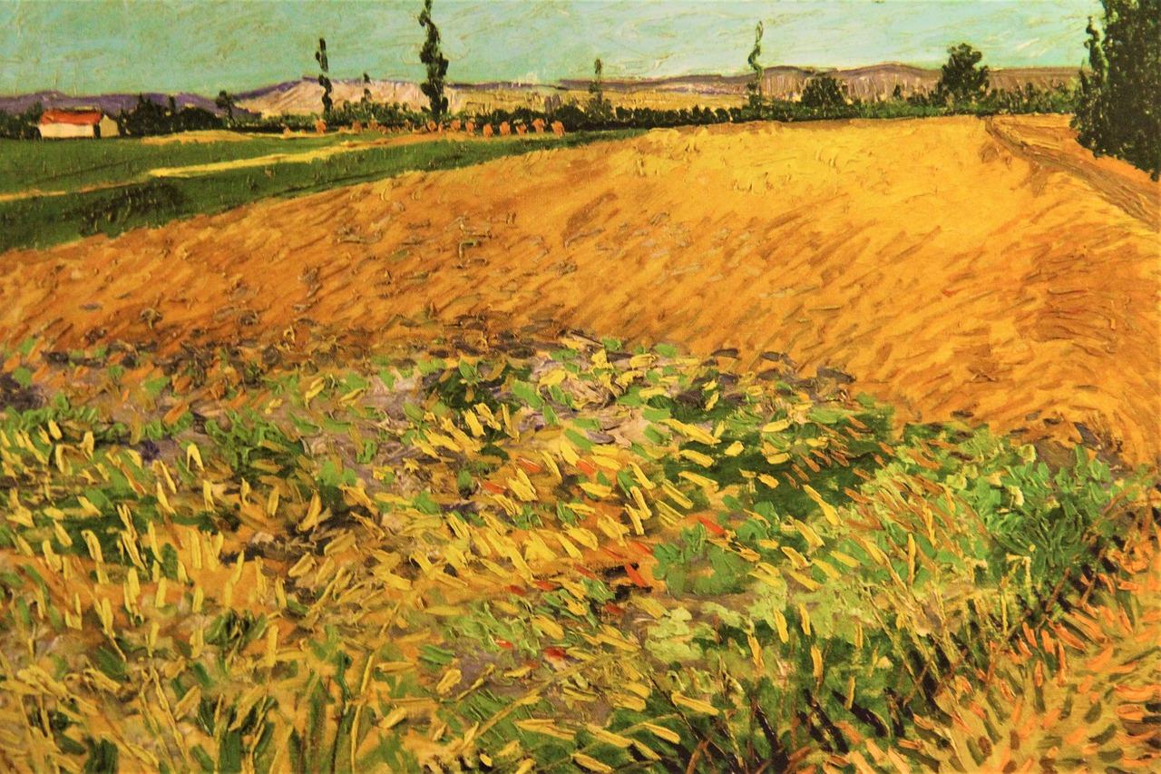 3. 印象派加盟预算