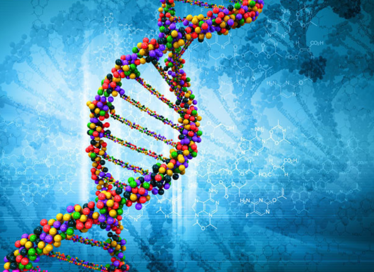 慢性疾病源头防控新探索：pgt P优选低风险糖尿病试管婴儿在上海诞生 知乎 5616