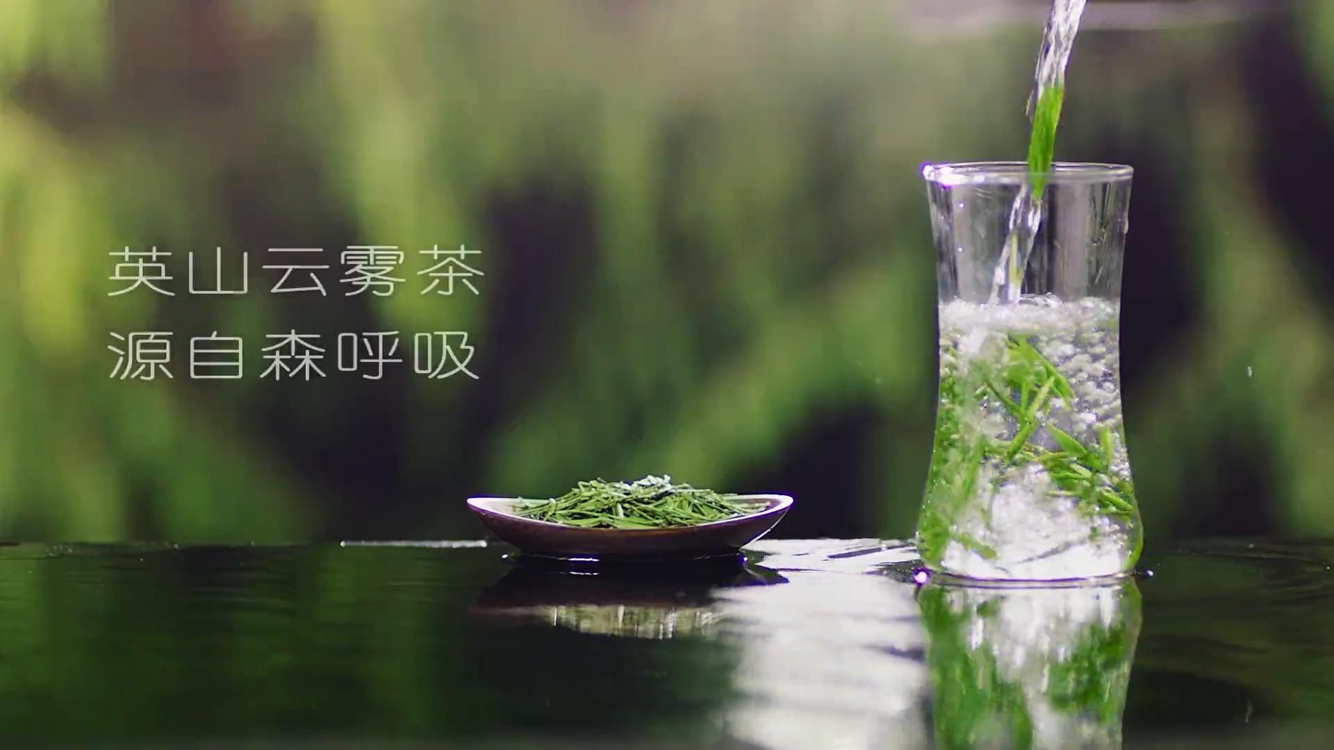 湖北英山云雾茶图片