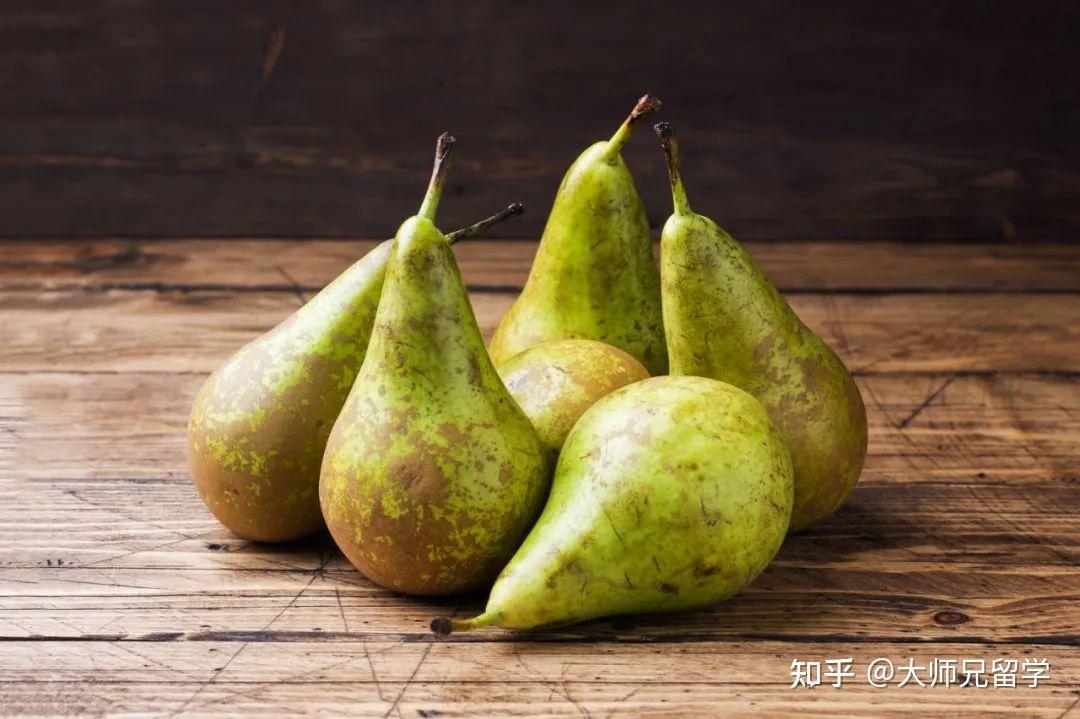 英国梨 zhuanlan.zhihu.com
