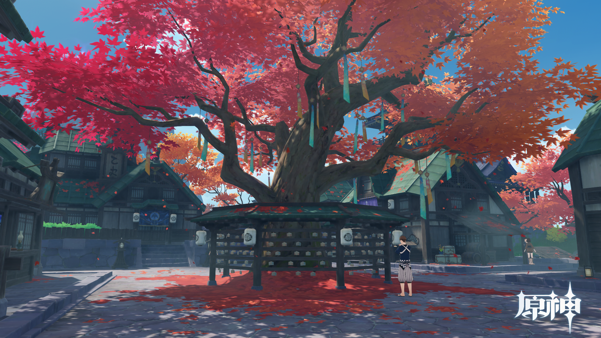 下的离岛曾是稻妻重要的对外通商口岸,曾几何时,环绕岛中的那棵大枫树