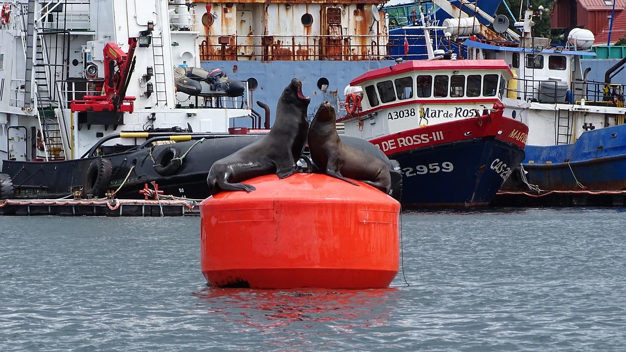 智能家居系统全