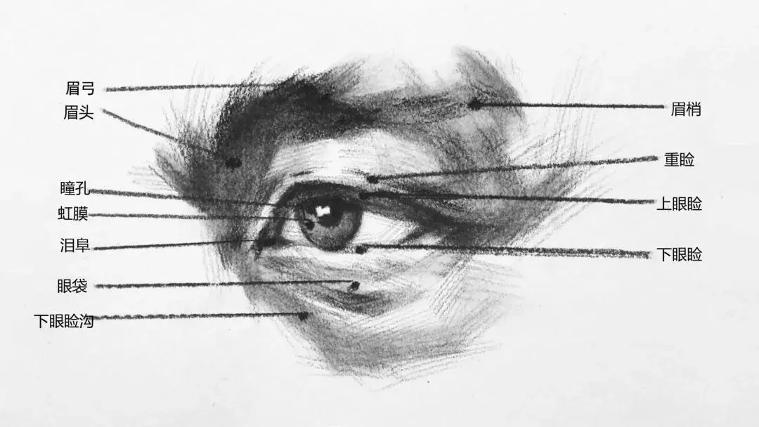 素描五官怎样画好?超详细步骤图解析