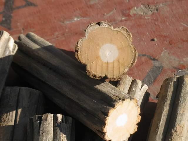 知道降龙木是哪种树木吗它生来就有六棱还被佛家寓意六道轮回