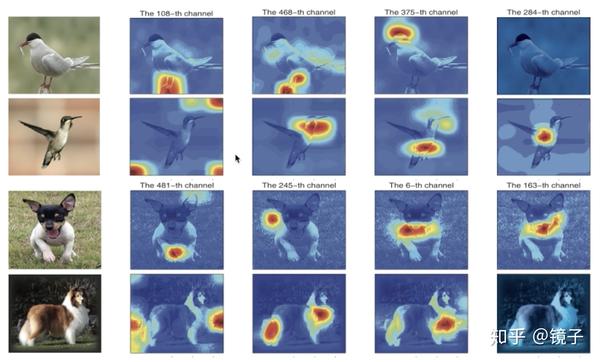 笔记：细粒度级别图像分析：细粒度图像检索 - 知乎