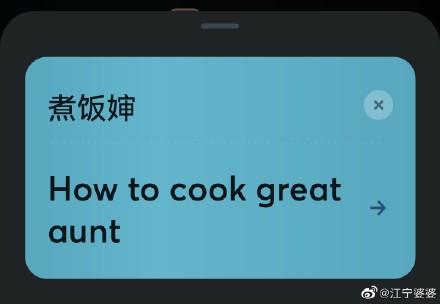 商標資訊煮飯嬸英文翻譯是cookyouraunt官方回應農民不太懂