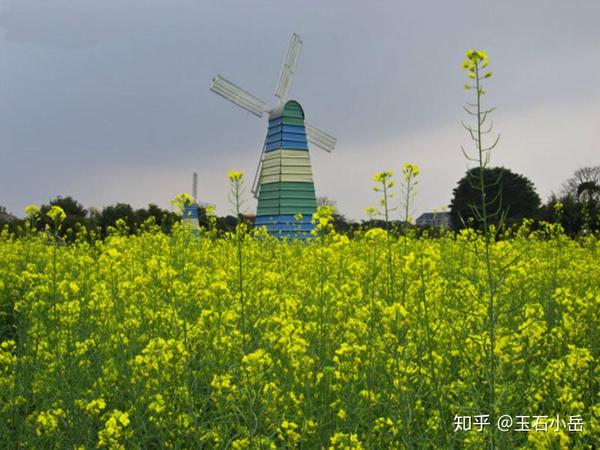 翡翠的春夏秋冬，你知道吗？ - 知乎