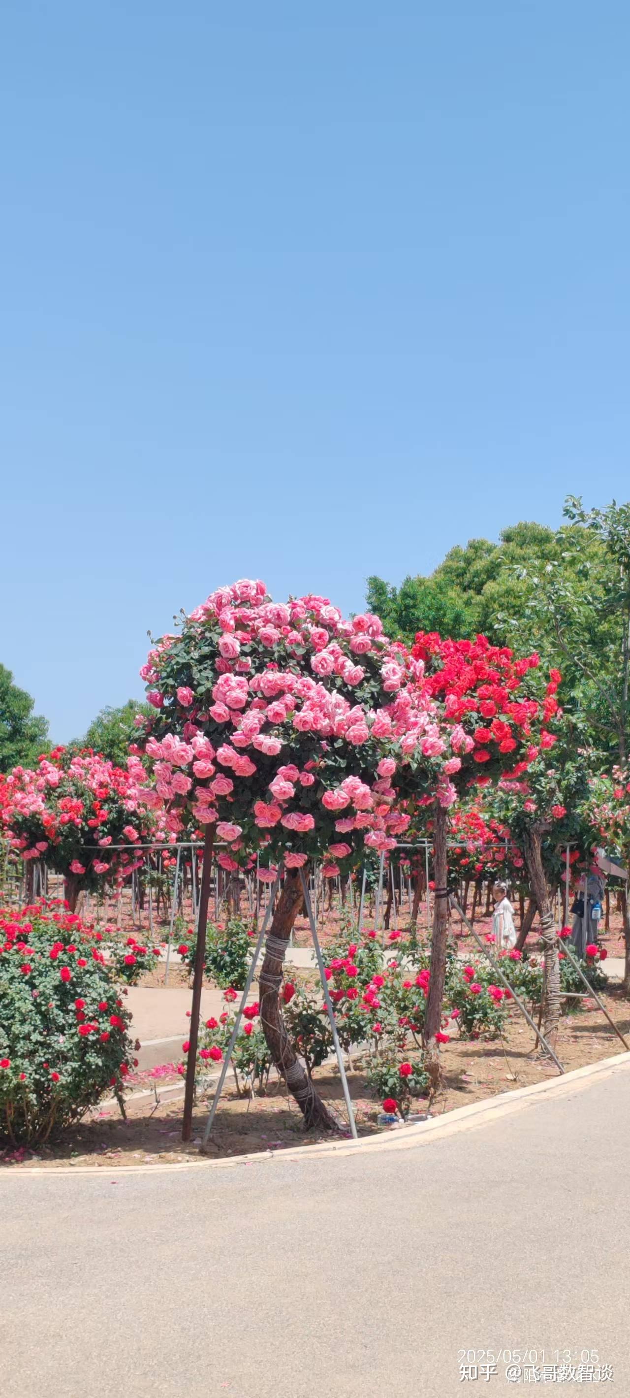 字节跳动正式推出「Coze 扣子 」AI Bot 开发平台,该平台有何作用?