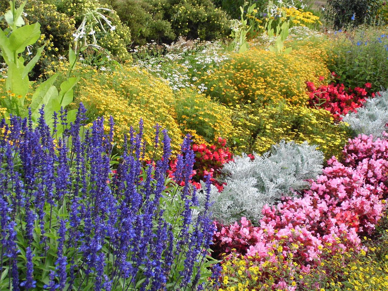 2. 耐寒花树选择