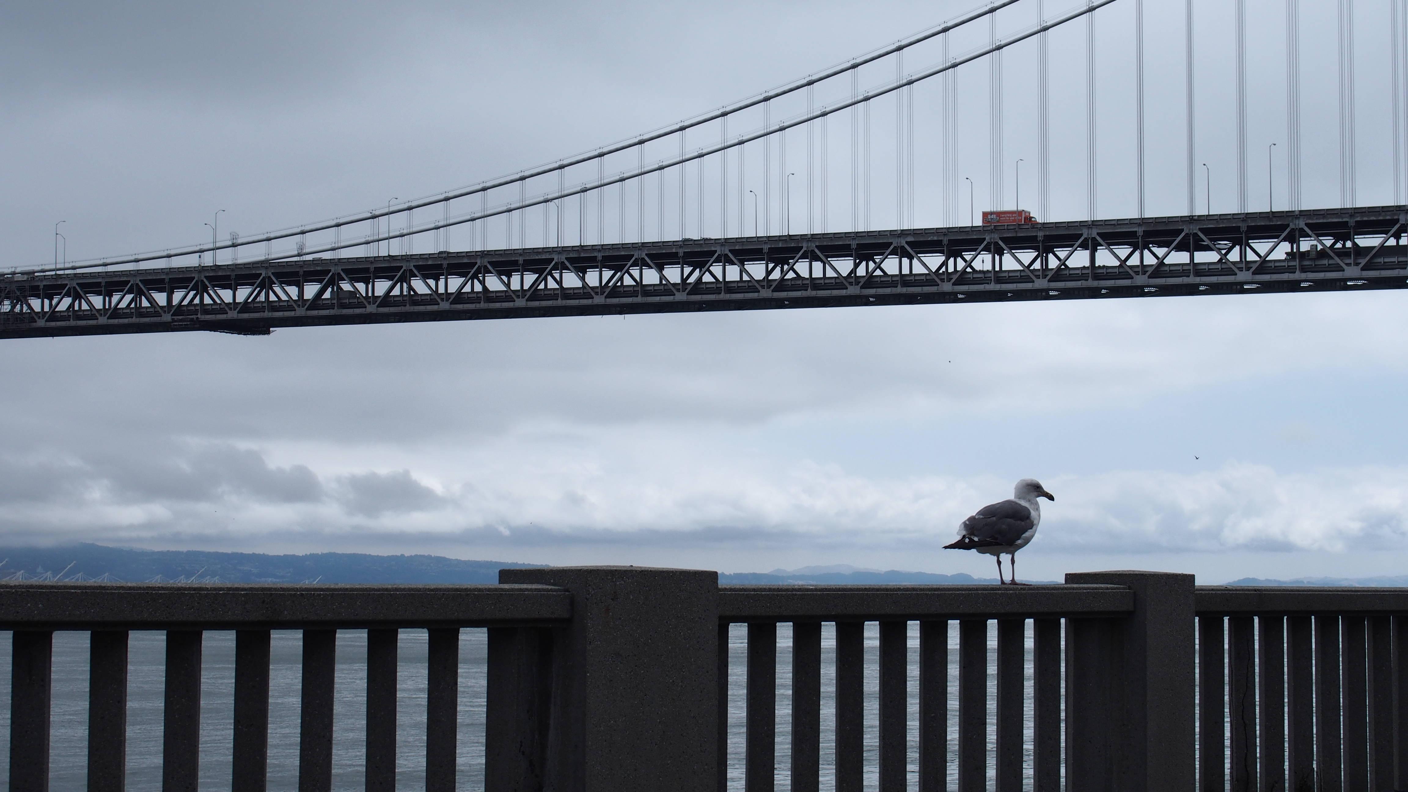 有什么好看的ipad壁纸吗? - 知乎