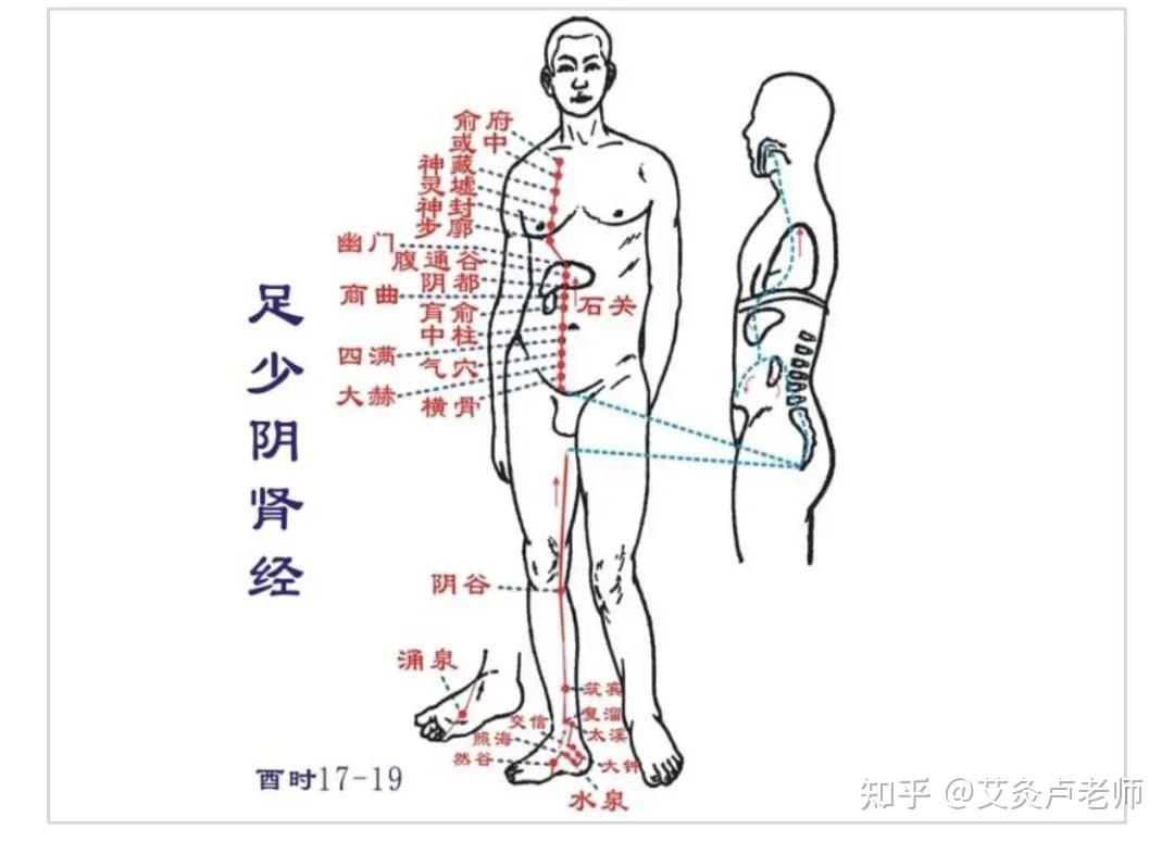 一個方法,三重功效位置:最大腿到膝關節到腳踝.