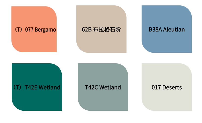 signeo德国诗珑漆2021年度色彩趋势