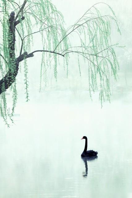 :中国文学史上第一首